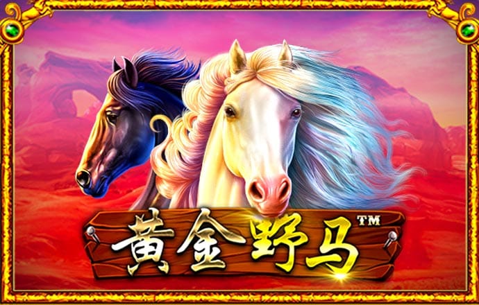 ng体育娱乐下载官网